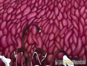 Inyochuu - forceful squeezing